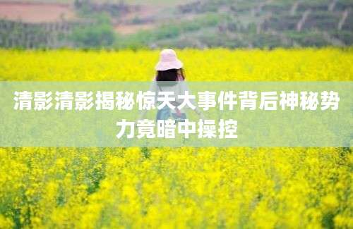清影清影揭秘惊天大事件背后神秘势力竟暗中操控