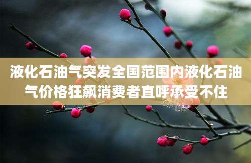 液化石油气突发全国范围内液化石油气价格狂飙消费者直呼承受不住