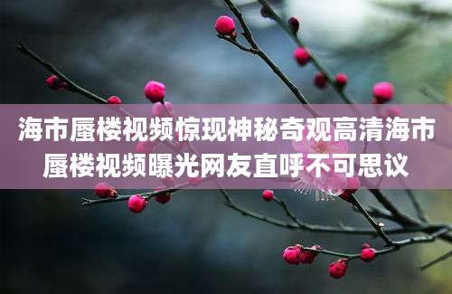 海市蜃楼视频惊现神秘奇观高清海市蜃楼视频曝光网友直呼不可思议