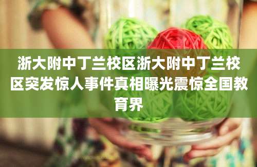 浙大附中丁兰校区浙大附中丁兰校区突发惊人事件真相曝光震惊全国教育界