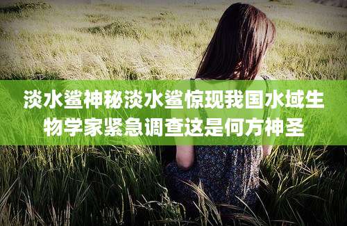淡水鲨神秘淡水鲨惊现我国水域生物学家紧急调查这是何方神圣