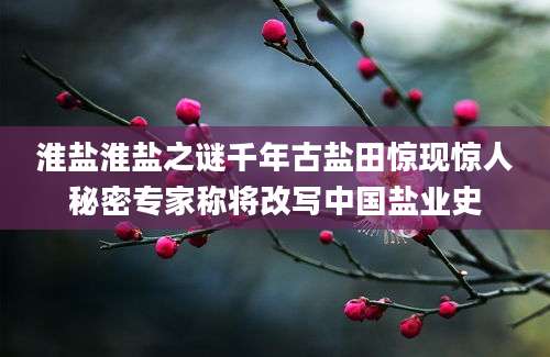 淮盐淮盐之谜千年古盐田惊现惊人秘密专家称将改写中国盐业史