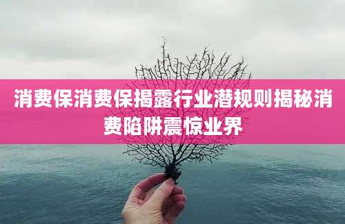消费保消费保揭露行业潜规则揭秘消费陷阱震惊业界