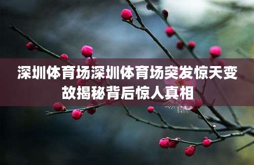 深圳体育场深圳体育场突发惊天变故揭秘背后惊人真相