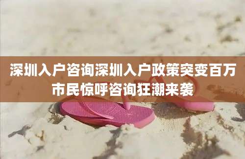 深圳入户咨询深圳入户政策突变百万市民惊呼咨询狂潮来袭