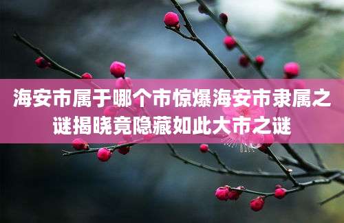 海安市属于哪个市惊爆海安市隶属之谜揭晓竟隐藏如此大市之谜