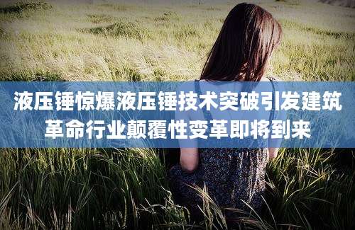 液压锤惊爆液压锤技术突破引发建筑革命行业颠覆性变革即将到来