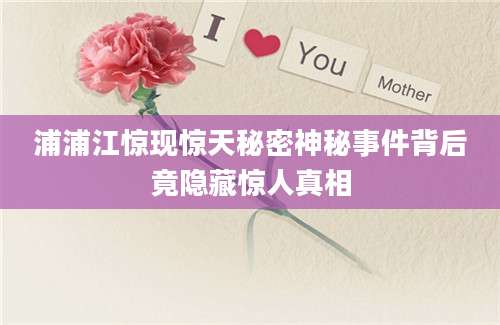 浦浦江惊现惊天秘密神秘事件背后竟隐藏惊人真相