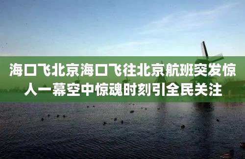 海口飞北京海口飞往北京航班突发惊人一幕空中惊魂时刻引全民关注