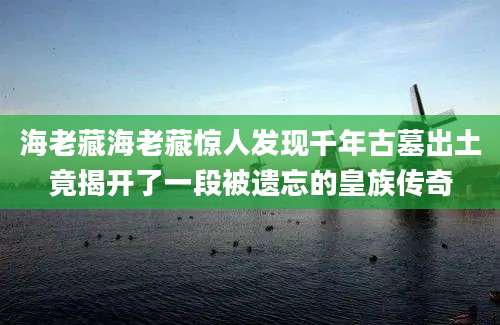 海老藏海老藏惊人发现千年古墓出土竟揭开了一段被遗忘的皇族传奇