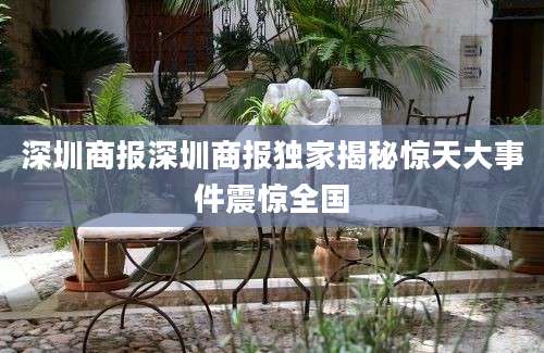 深圳商报深圳商报独家揭秘惊天大事件震惊全国