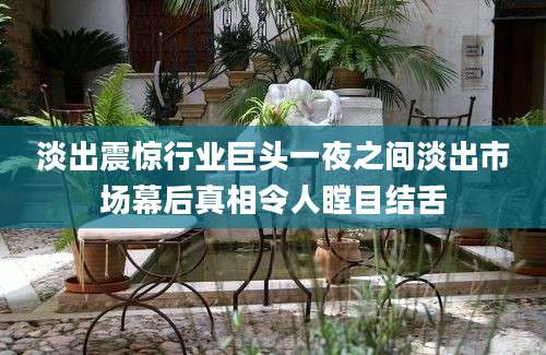 淡出震惊行业巨头一夜之间淡出市场幕后真相令人瞠目结舌