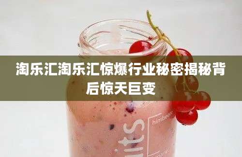 淘乐汇淘乐汇惊爆行业秘密揭秘背后惊天巨变