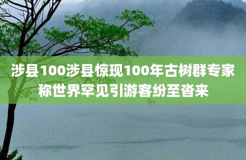 涉县100涉县惊现100年古树群专家称世界罕见引游客纷至沓来