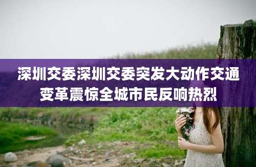 深圳交委深圳交委突发大动作交通变革震惊全城市民反响热烈