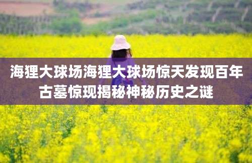 海狸大球场海狸大球场惊天发现百年古墓惊现揭秘神秘历史之谜