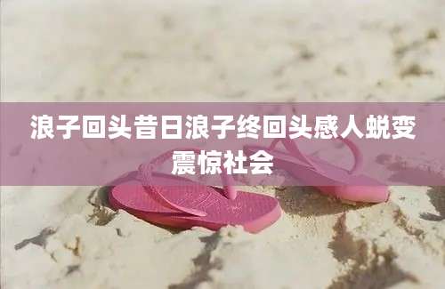 浪子回头昔日浪子终回头感人蜕变震惊社会