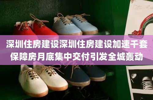 深圳住房建设深圳住房建设加速千套保障房月底集中交付引发全城轰动