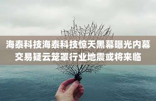 海泰科技海泰科技惊天黑幕曝光内幕交易疑云笼罩行业地震或将来临