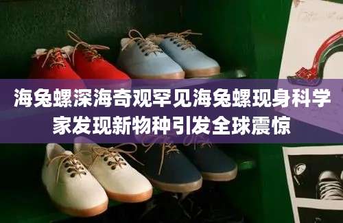 海兔螺深海奇观罕见海兔螺现身科学家发现新物种引发全球震惊