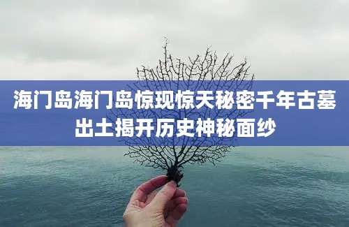 海门岛海门岛惊现惊天秘密千年古墓出土揭开历史神秘面纱