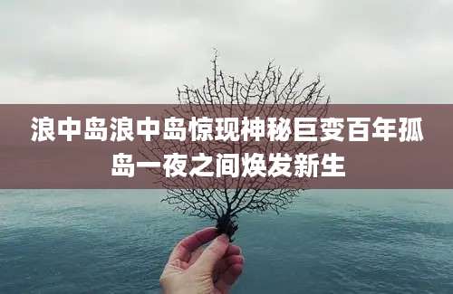 浪中岛浪中岛惊现神秘巨变百年孤岛一夜之间焕发新生