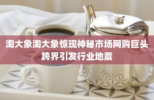 淘大象淘大象惊现神秘市场网购巨头跨界引发行业地震