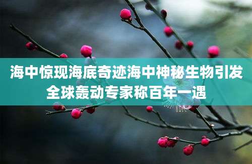 海中惊现海底奇迹海中神秘生物引发全球轰动专家称百年一遇