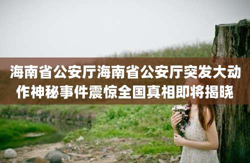 海南省公安厅海南省公安厅突发大动作神秘事件震惊全国真相即将揭晓