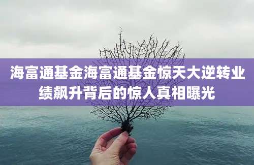 海富通基金海富通基金惊天大逆转业绩飙升背后的惊人真相曝光
