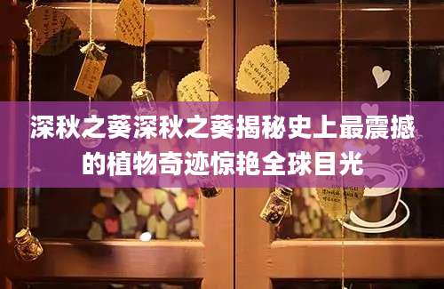 深秋之葵深秋之葵揭秘史上最震撼的植物奇迹惊艳全球目光