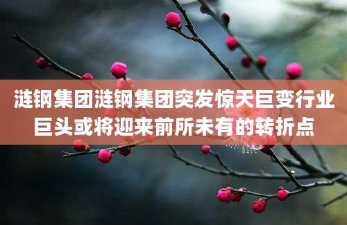 涟钢集团涟钢集团突发惊天巨变行业巨头或将迎来前所未有的转折点