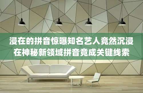 浸在的拼音惊曝知名艺人竟然沉浸在神秘新领域拼音竟成关键线索
