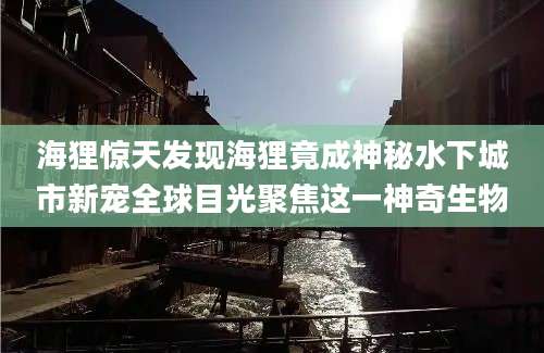 海狸惊天发现海狸竟成神秘水下城市新宠全球目光聚焦这一神奇生物