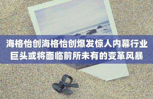 海格怡创海格怡创爆发惊人内幕行业巨头或将面临前所未有的变革风暴