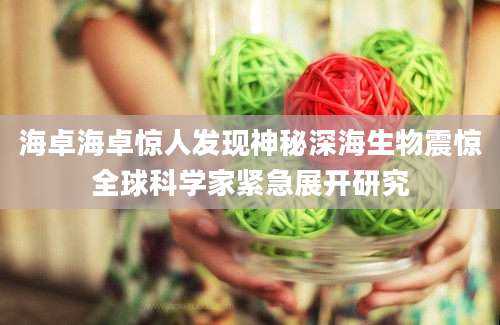 海卓海卓惊人发现神秘深海生物震惊全球科学家紧急展开研究