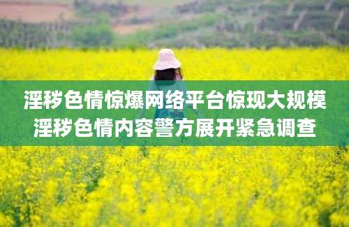 淫秽色情惊爆网络平台惊现大规模淫秽色情内容警方展开紧急调查