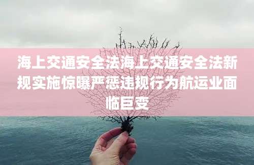 海上交通安全法海上交通安全法新规实施惊曝严惩违规行为航运业面临巨变