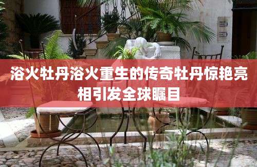 浴火牡丹浴火重生的传奇牡丹惊艳亮相引发全球瞩目