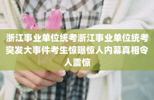浙江事业单位统考浙江事业单位统考突发大事件考生惊曝惊人内幕真相令人震惊
