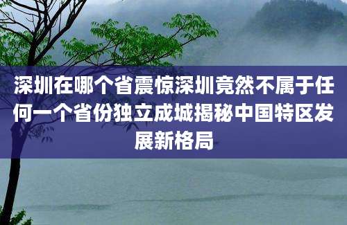 深圳在哪个省震惊深圳竟然不属于任何一个省份独立成城揭秘中国特区发展新格局