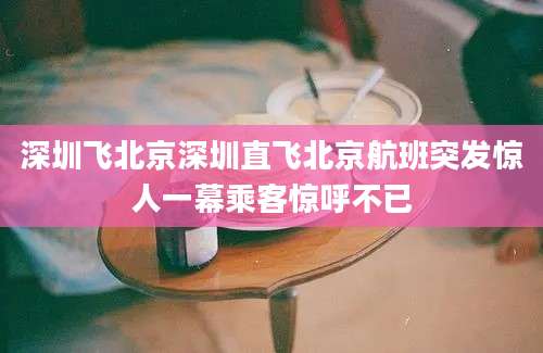 深圳飞北京深圳直飞北京航班突发惊人一幕乘客惊呼不已