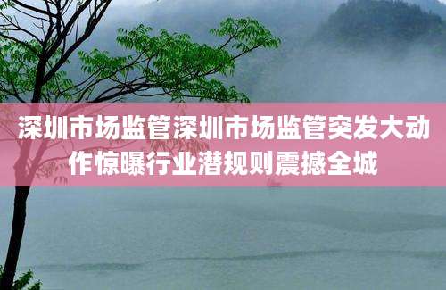 深圳市场监管深圳市场监管突发大动作惊曝行业潜规则震撼全城