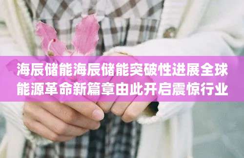 海辰储能海辰储能突破性进展全球能源革命新篇章由此开启震惊行业