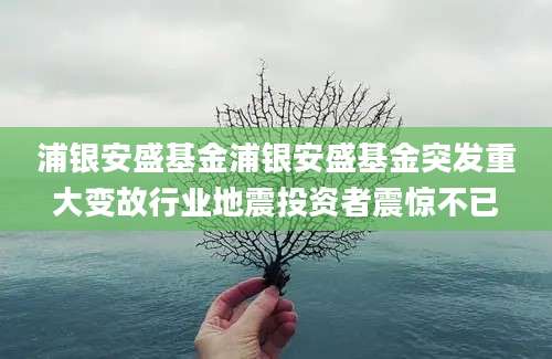 浦银安盛基金浦银安盛基金突发重大变故行业地震投资者震惊不已