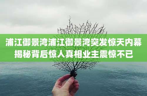 浦江御景湾浦江御景湾突发惊天内幕揭秘背后惊人真相业主震惊不已