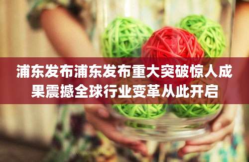 浦东发布浦东发布重大突破惊人成果震撼全球行业变革从此开启