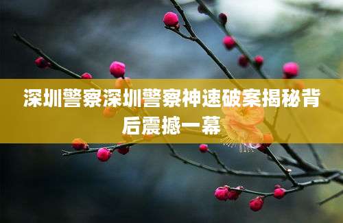 深圳警察深圳警察神速破案揭秘背后震撼一幕