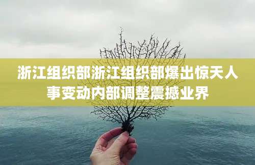 浙江组织部浙江组织部爆出惊天人事变动内部调整震撼业界